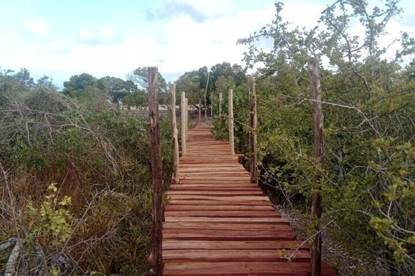 Mida Creek Boardwalk and Canoa Ride