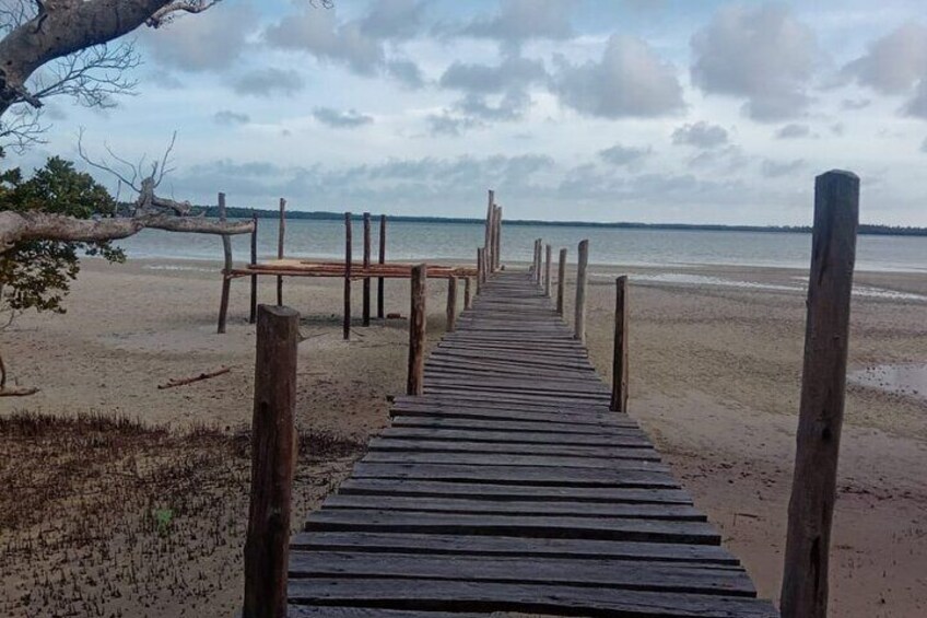 Mida Creek Boardwalk and Canoa Ride