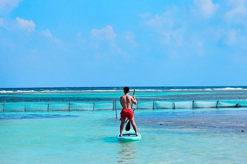 A person paddleboarding on turquoise water with a clear sky and ocean in the background. 4