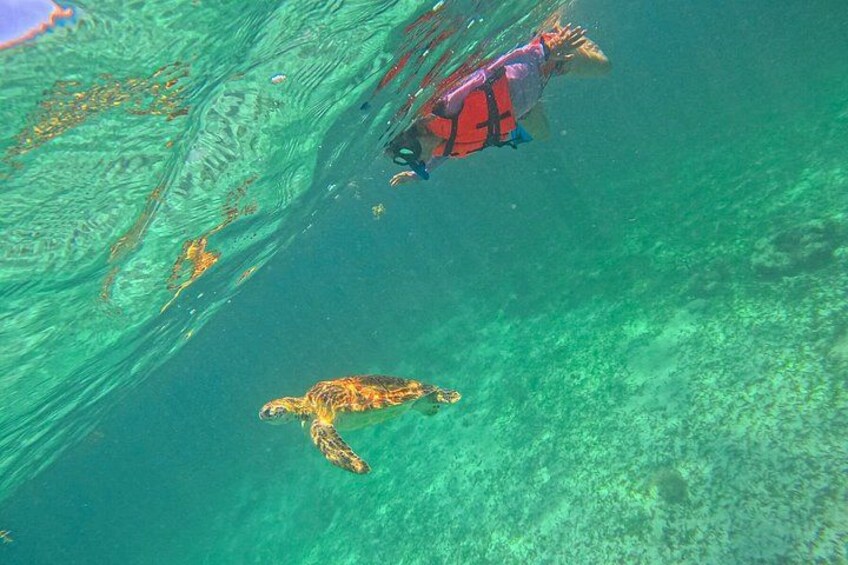 A person swimming with a sea turtle in clear water. 3
