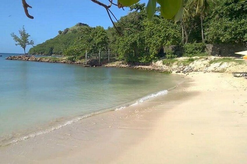 Una playa con aguas cristalinas, arena dorada y exuberante vegetación. 4