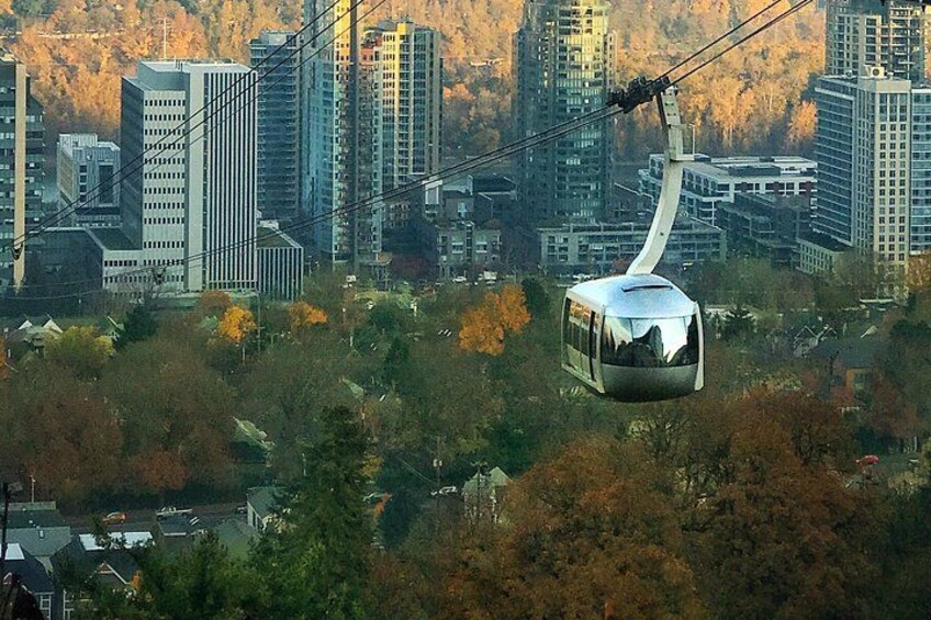 The Aerial Tram hovers above the South Waterfront 1