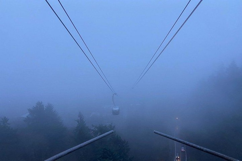 A cable car in a foggy mountainous area with visible cables and trees. 3