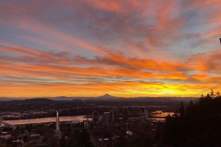 the Aerial Tram makes its way towards OHSU on a stunning day in January 4