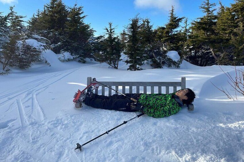 A person lying on a bench in a snowy landscape with trees. 2