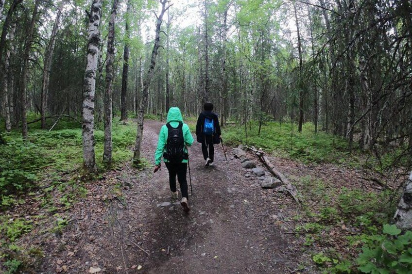 Summer Valley and Forest Hike 2