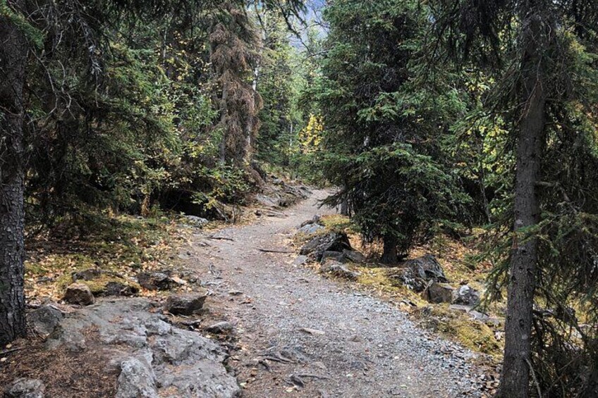Summer Valley and Forest Hike 4