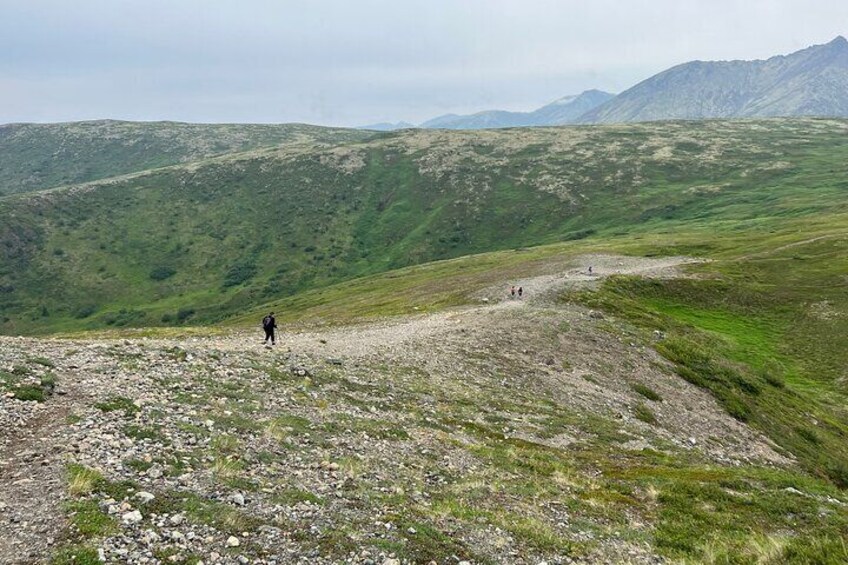 Alpine Classic Trek