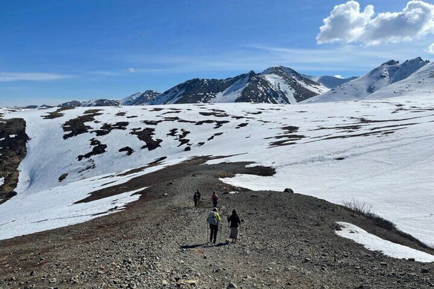 Alpine Classic Trek