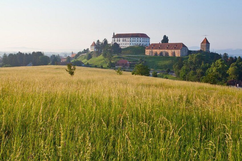 Een kasteel op een heuvel, omgeven door velden en bomen. 2