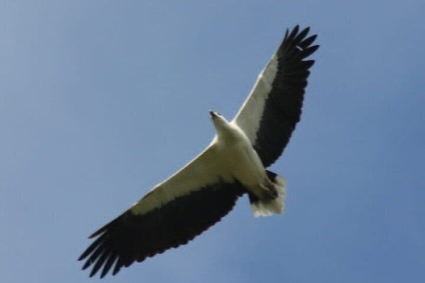Full day / Half Day WildlifeAdventure in Yala-National-Park 4