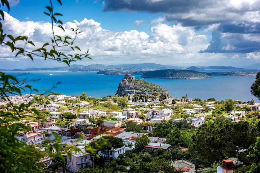 Ischia Island & Mortella Gardens Tour from Sorrento