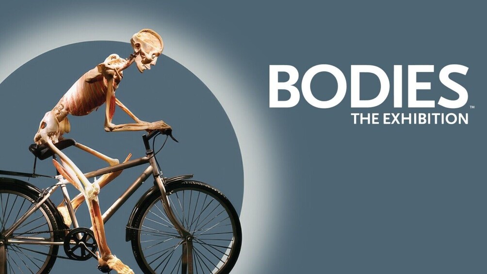 Bodies: The Exhibition Las Vegas Tickets 1