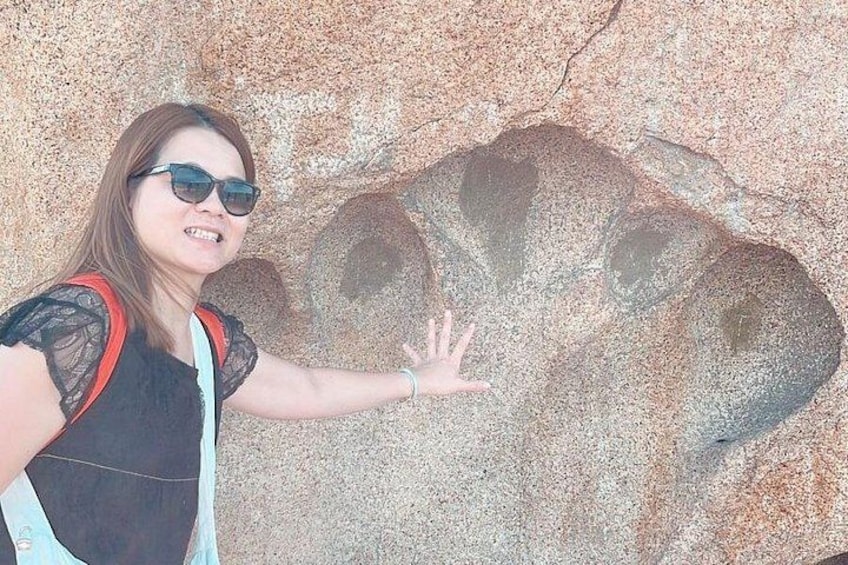 Half Day Car Nha Trang (Min 2 guest) 3