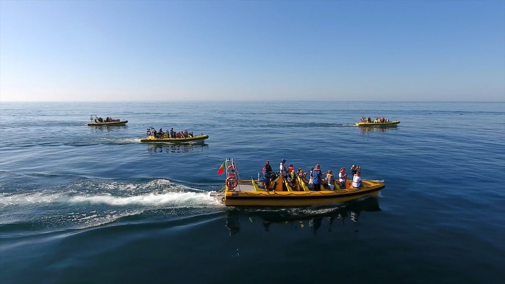 Grotto Cruise and Dolphin Watching from Albufeira 4