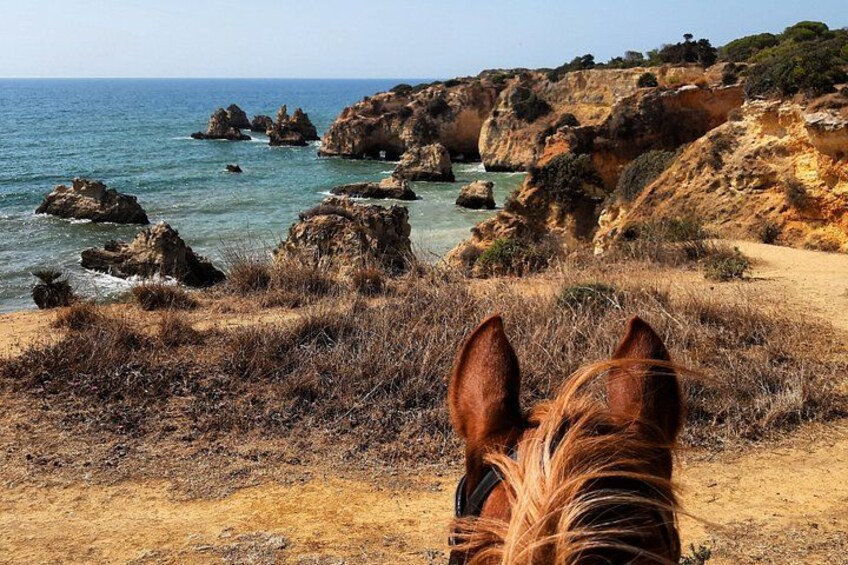 Algarve - Exclusive horseriding in Portimao (no experience required) 1