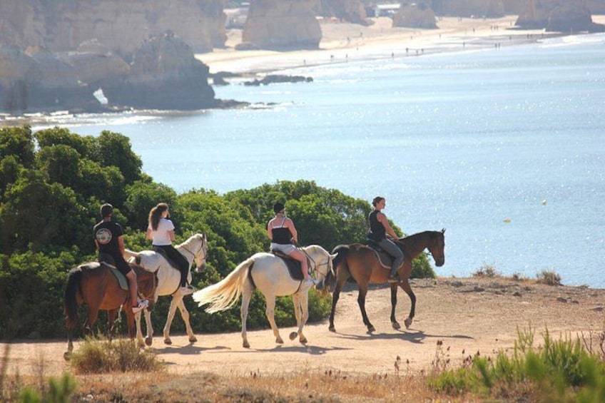 Algarve - Exclusive horseriding in Portimao (no experience required) 5