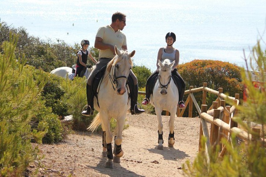 Algarve - Exclusive horseriding in Portimao (no experience required) 3
