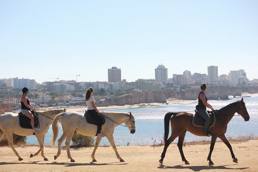 Algarve - Exclusive horseriding in Portimao (no experience required) 3