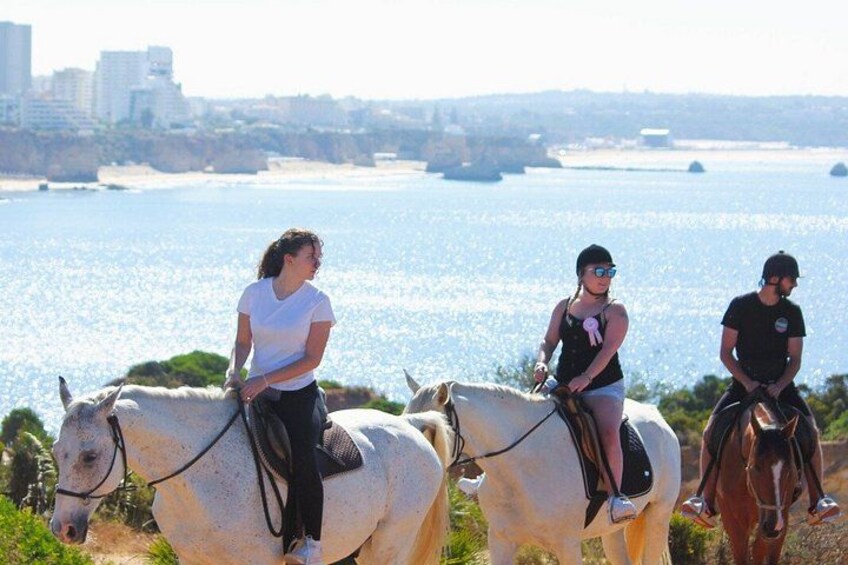 Algarve - Exclusive horseriding in Portimao (no experience required) 4