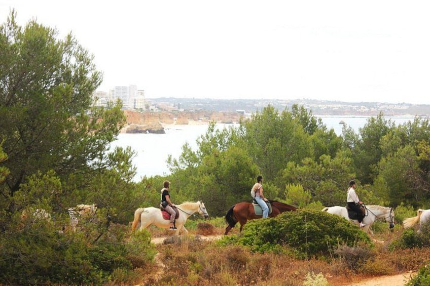 Algarve - Exclusive horseriding in Portimao (no experience required) 2