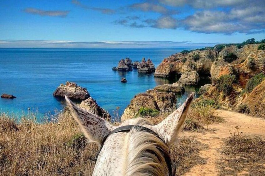 Algarve - Exclusive horseriding in Portimao (no experience required) 2