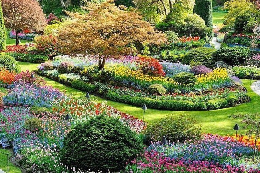 Victoria Butchart Garden