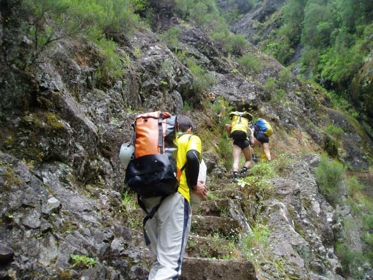 Queimadas to Caldeirao Verde Guided Levada Hike 2