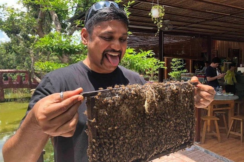 Try & visit honeyfarm 5