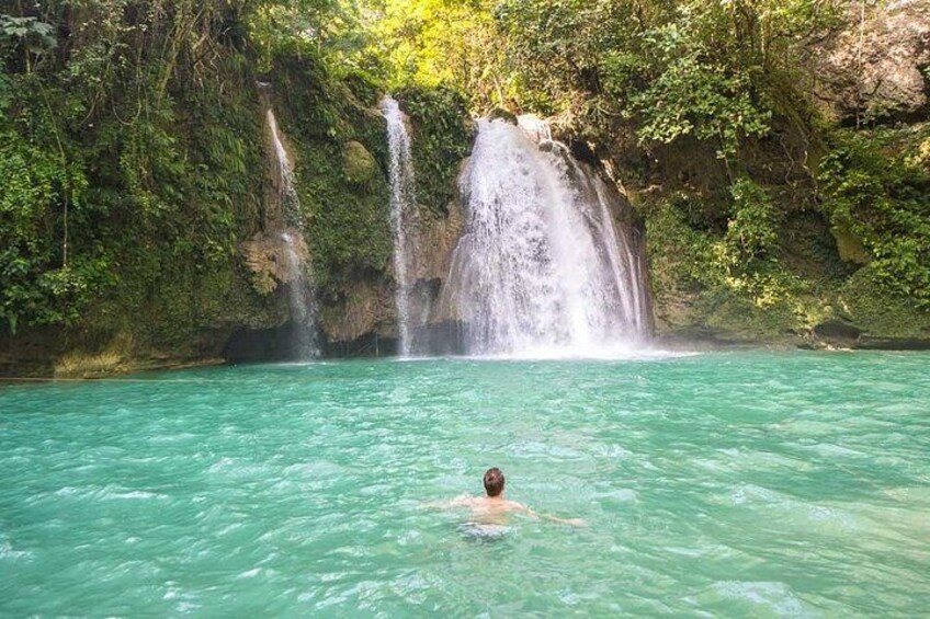 Oslob Whaleshark & Kawasan Falls Tour with lunch & transfer 1