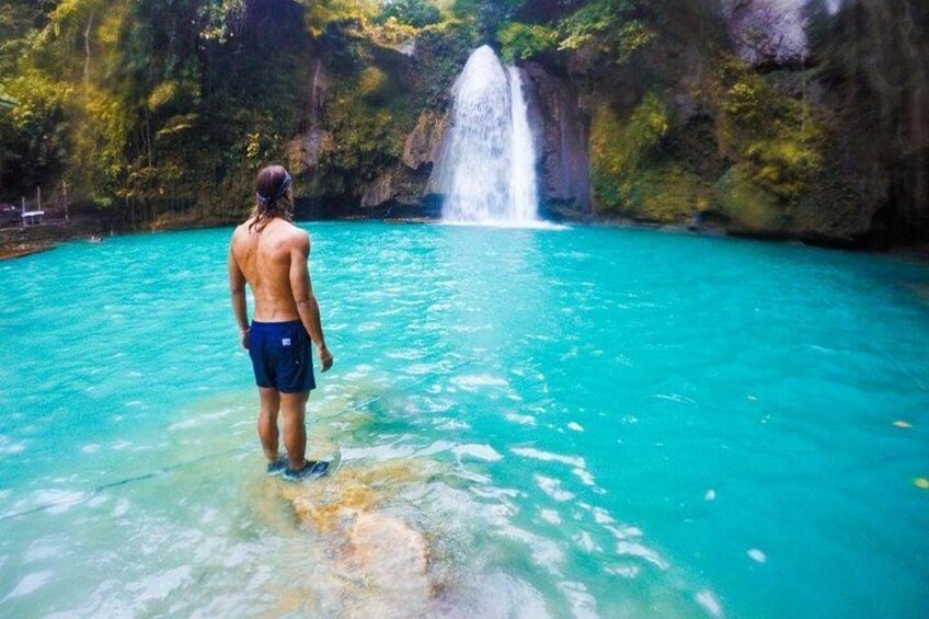 Oslob Whaleshark & Kawasan Falls Tour with lunch & transfer 3