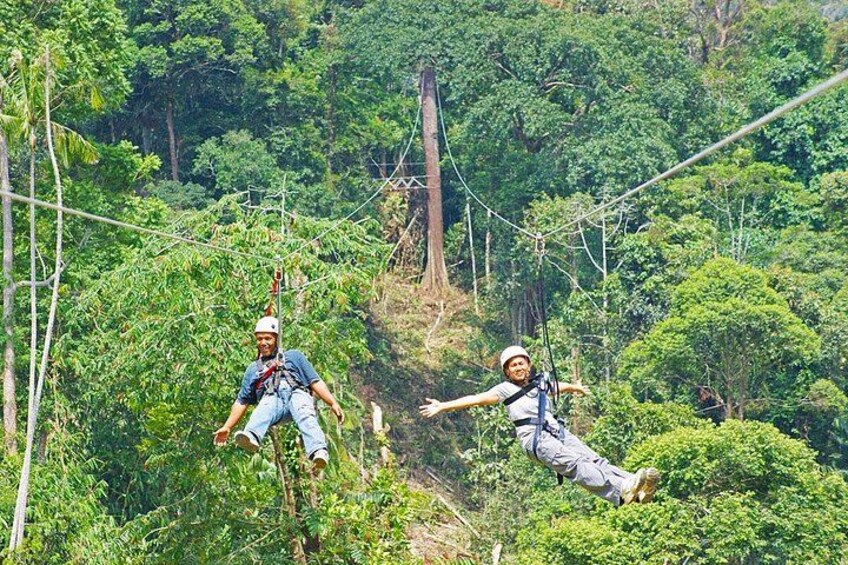 Zwei Personen sausen an einer Zipline durch ein bewaldetes Gebiet mit dichtem Grün und hohen Bäumen. 3