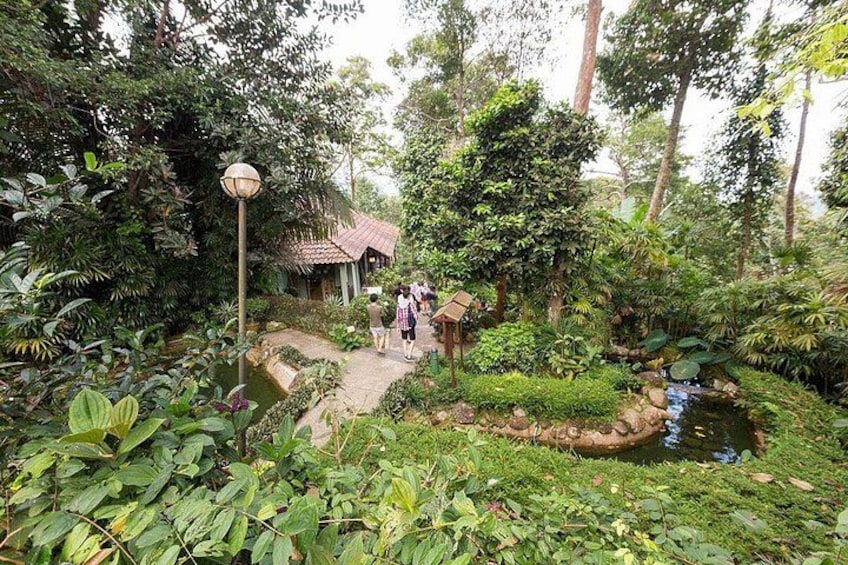 Ein Garten mit Teich, Laube und üppigem Grün. 2
