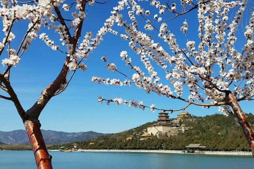 Summer palace 2