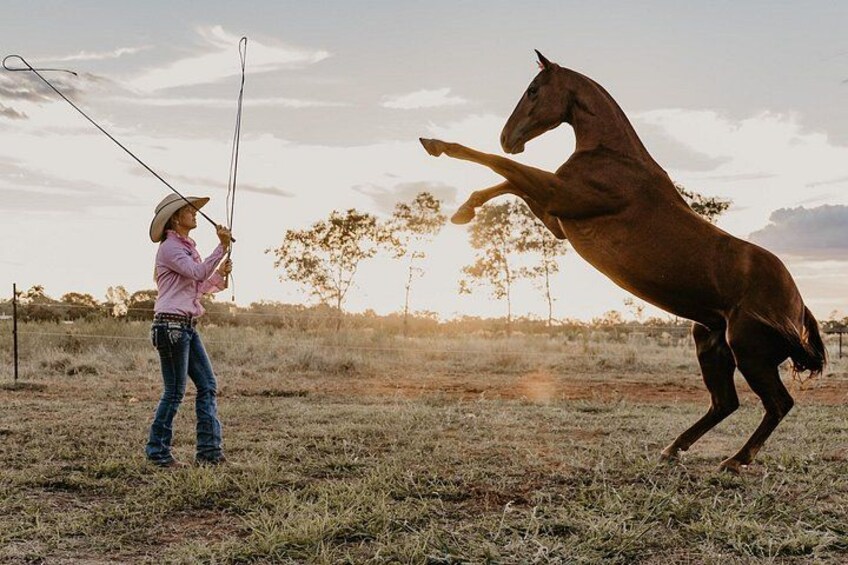 A person in a pink shirt and cowboy hat interacting with a rearing horse in an open field. 3