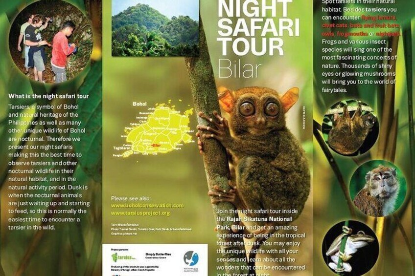 Night Safari Tour-Bohol-Bilar