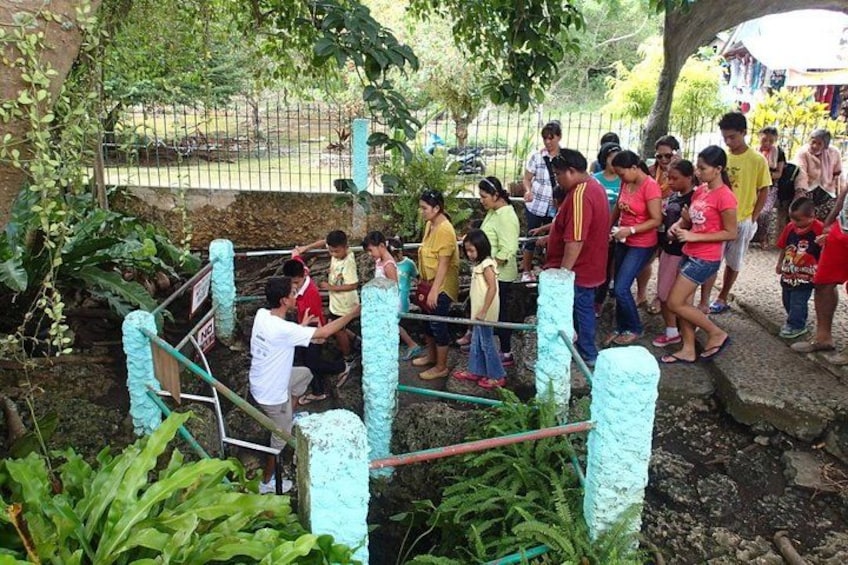 A group of people gathered around a garden with a stone wall and a metal fence. 2