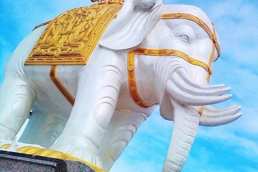 Mt Emei 1 day tour 2