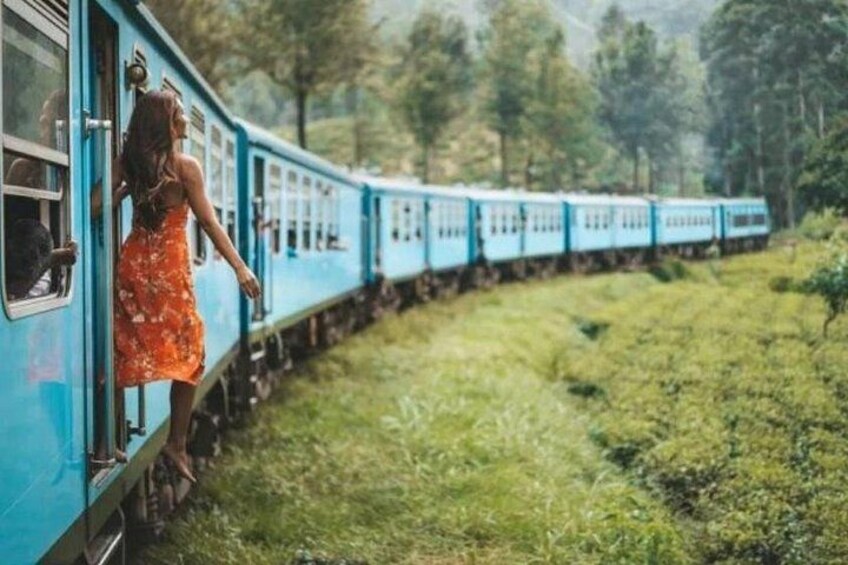 A train with a woman in a floral dress standing by the window. 1