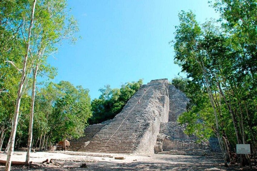 Eine große pyramidenförmige Struktur, umgeben von Bäumen. 1