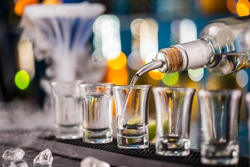Katowice Private Vodka Tasting Tour 4
