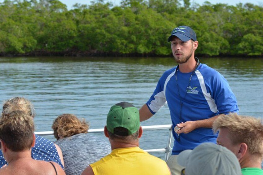 Dolphin Watch Eco Shelling Cruise to Keewaydin Island 2