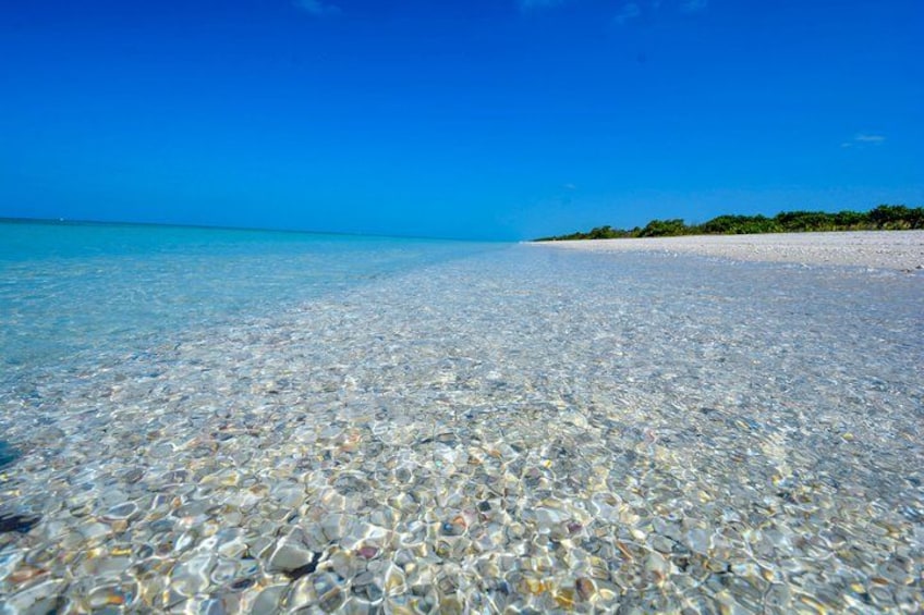 Un mare turchese cristallino con una spiaggia sabbiosa e una linea di vegetazione verde in lontananza. 2