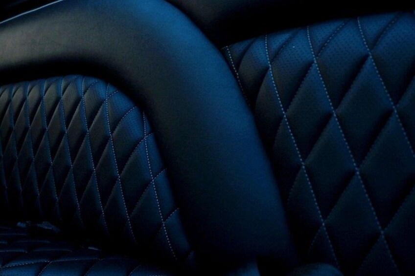 Party Bus Luxury Transportation Shuttles Limo 2