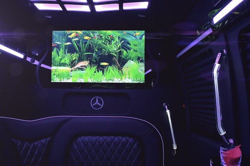 Party Bus Luxury Transportation Shuttles Limo 4