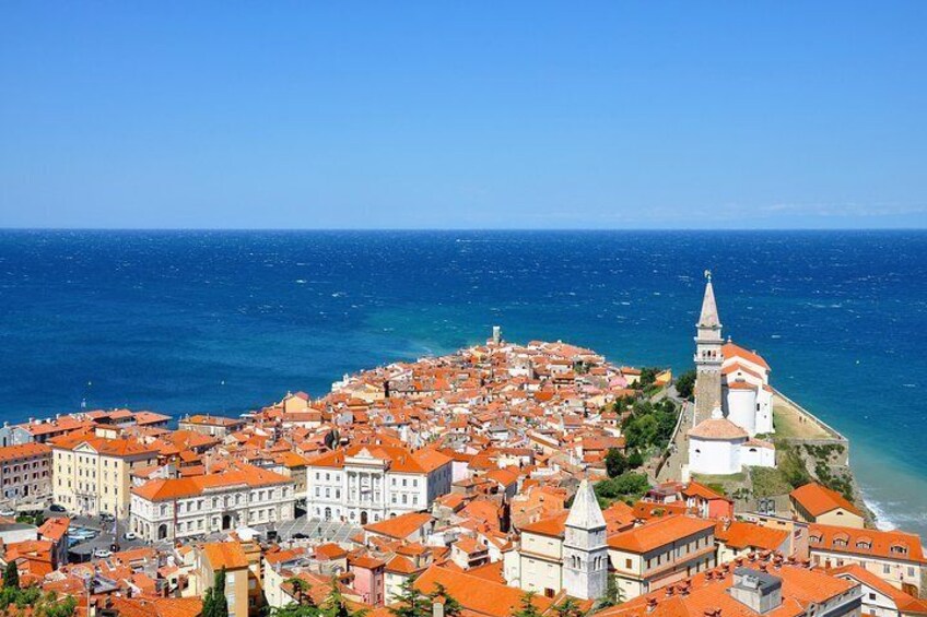 Lipica and Slovenian Coast