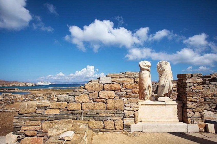 Delos and Mykonos One Day Cruise from Naxos 4