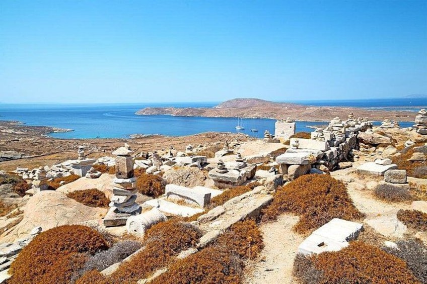 Delos and Mykonos One Day Cruise from Naxos 2