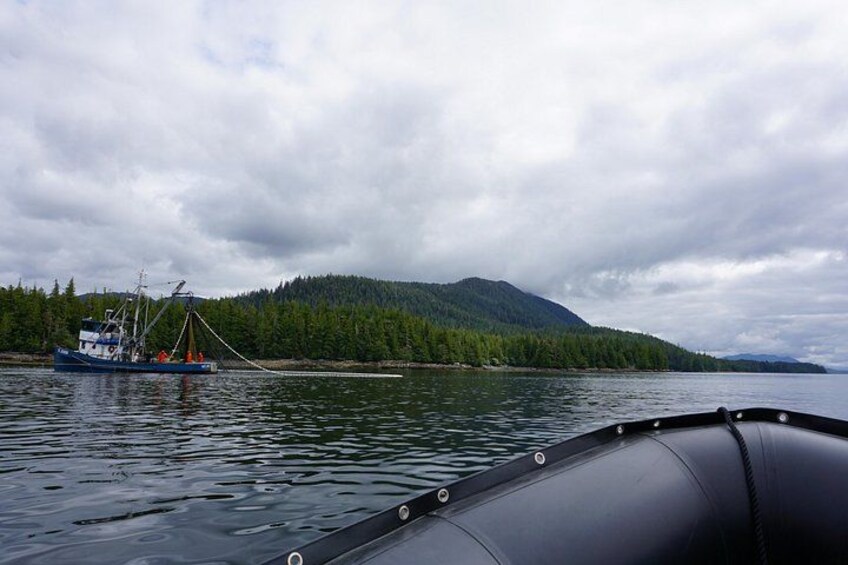 Learn more about the commercial fishing industry and the livelihood of many locals 5