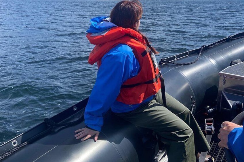 Guests sit on the tube of the Zodiac with feet placed under the foot strap and a hand free for the lifeline running along the top of the tube. Zodiacs are incredibly stable and seaworthy vessels 3